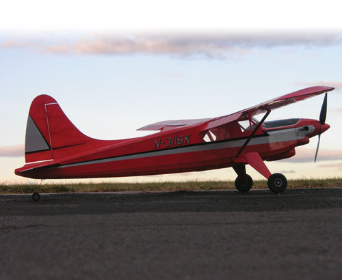 De Havilland Turbo Beaver