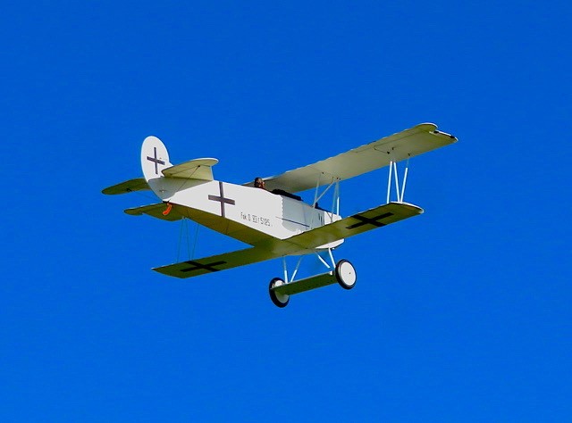 Model Airplane News - RC Airplane News | 1/3-scale D-VIIF