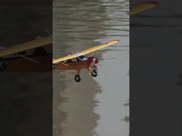 ✈️ The FMS 800mm Beaver is coming to own your local park.