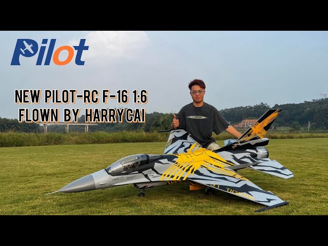 Pilot-RC F-16 1:6 flown by Harry Cai.