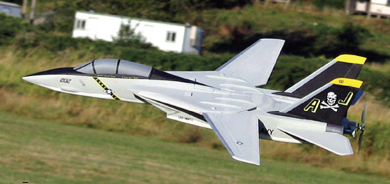 F-14 Tomcat PARK Jet